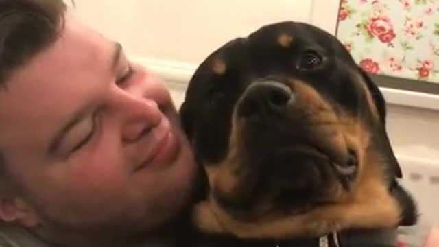 Rottweiler grumble/purr/rumble aaauhh