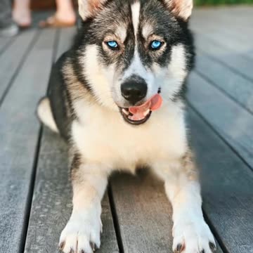 And that’s on a glow up 💁🏼‍♀️