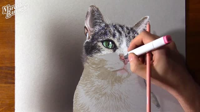 Draw The Kitten's Eyes With A Green Marker