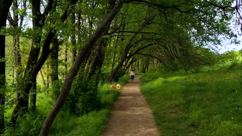 Woman and her dog working through a forest path