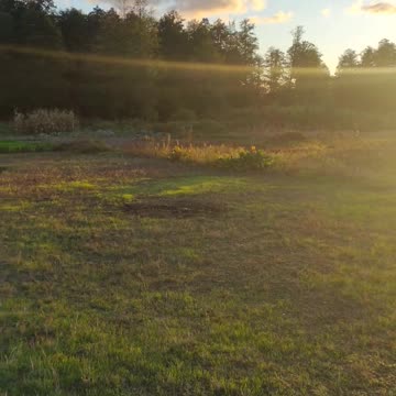 beautiful sunset in the field