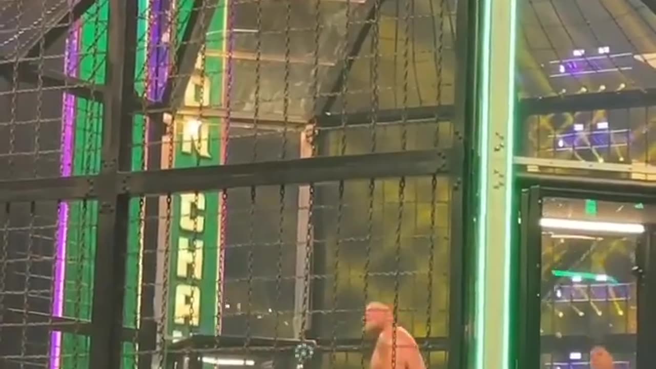 Brock Lesnar climbs the champer to catch Austin theory at WWE