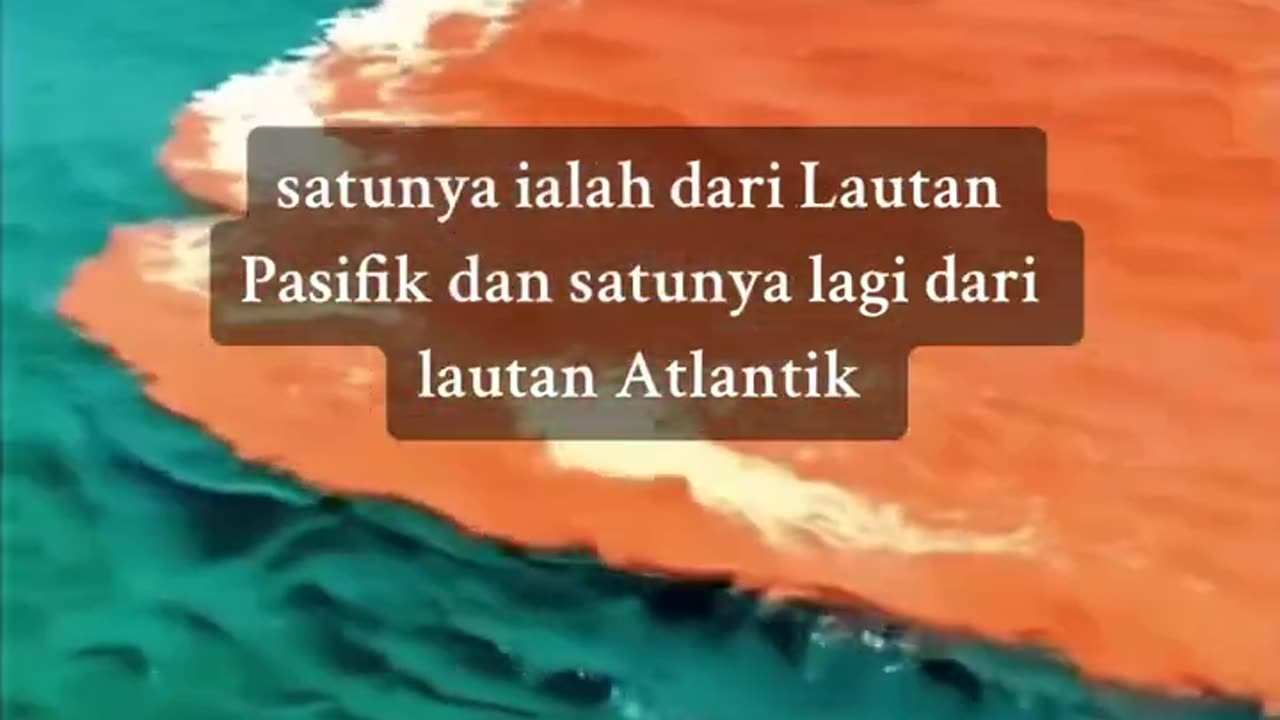 keajaiban laut