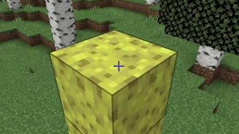 DO YOU KNOW THIS IN MINECRAFT