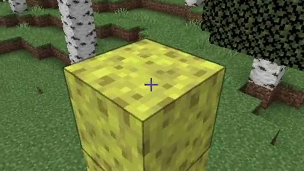 DO YOU KNOW THIS IN MINECRAFT