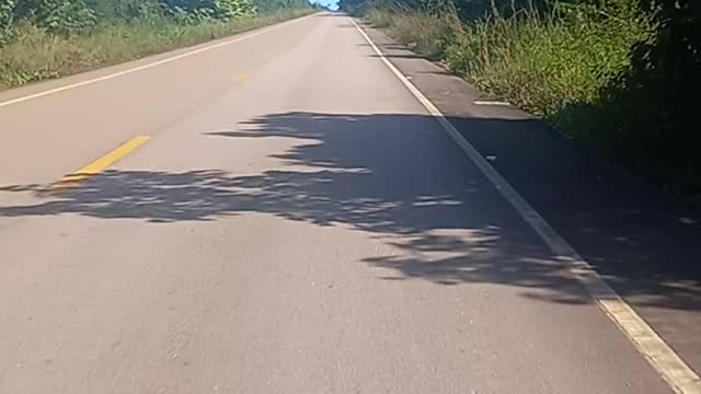 Estrada BR 318
