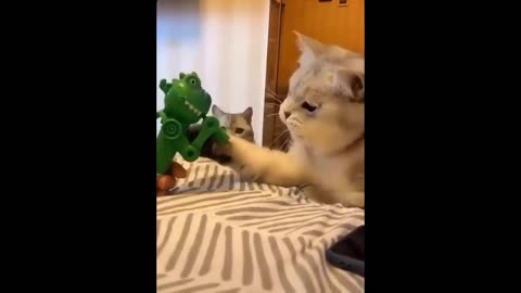 Try not to laugh #Animalslover