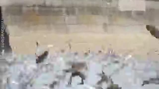 Fish cannon