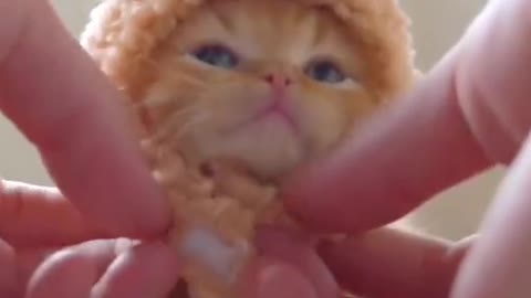 Cat's Day cute everyday