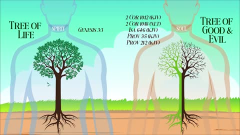 The Tree of Life vs The Tree of Good & Evil - PT. 1