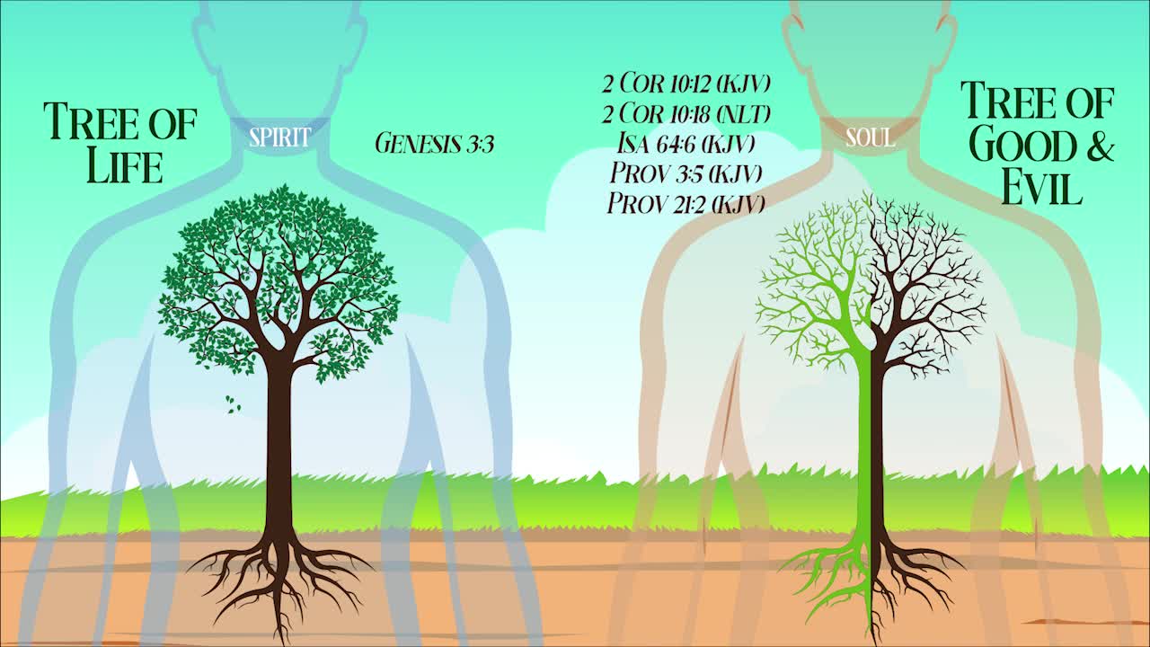 The Tree of Life vs The Tree of Good & Evil - PT. 1