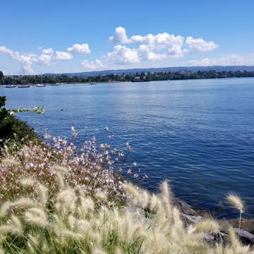 Flower in Switzerland in swiss lake