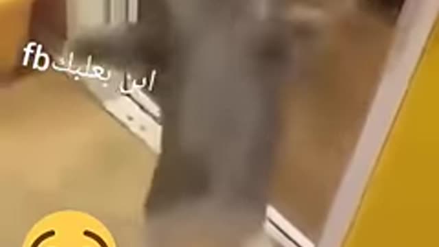 مقاطع مضحكة 😁😁😁