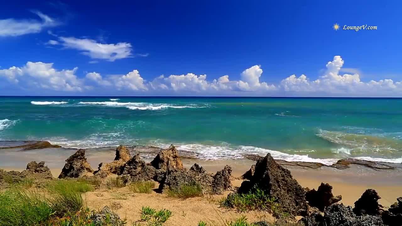 with - Beach - Sounds - - - 4 - Hour - Long!