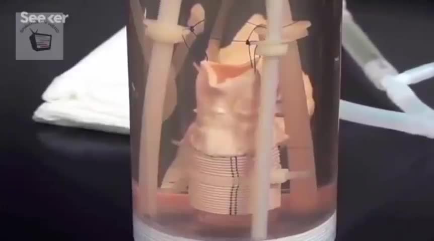 How they make clones - They started in 1938