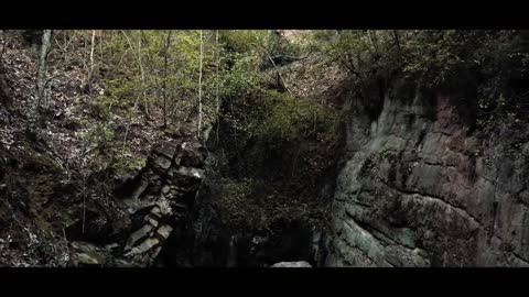 The Forest / Cinematic Drone Footage