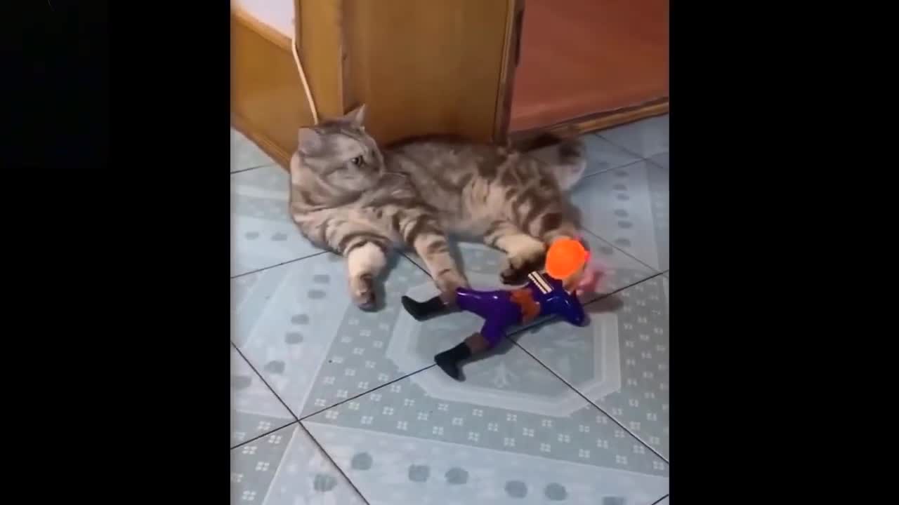 cute animals Compilation video#faunny cat lDog lMouse l