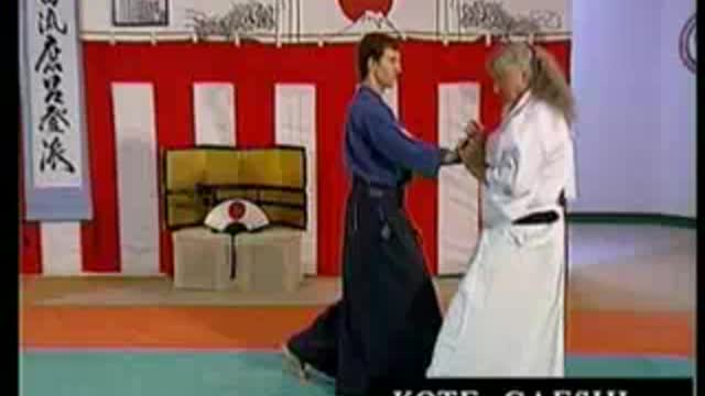 Takeda Ryu AikiGoshindo (Aikijutsu) DVD Trailer