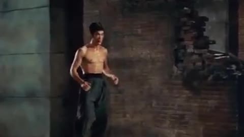 Bruce Lee The Absolute BEST