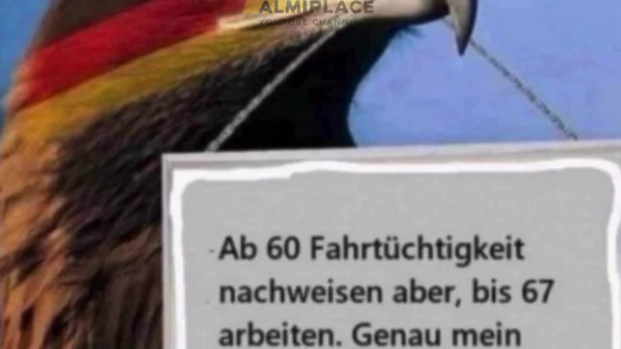 Deutschland 🇩🇪: Das ist genau mein Humor! 😂