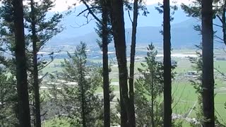 My walk at Hillkeep regional park, Chilliwack, BC