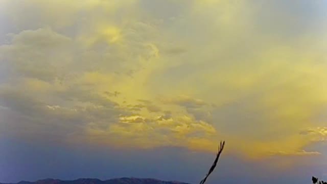 Freedom Bird Fly By