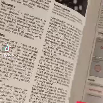 Corona is the common flu