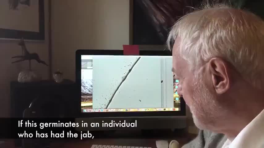 Swedish doctor Erik Enby researching the Pfizer "vaccine" under a microscope (English subtitles)