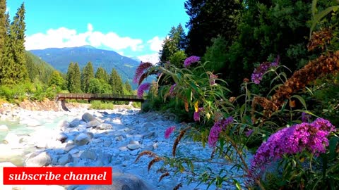 Relaxing Piano Music: Romantic Music, Beautiful Relaxing Music, Sleep Music, Stress Relf,