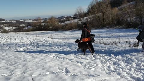 Condotta sulla neve