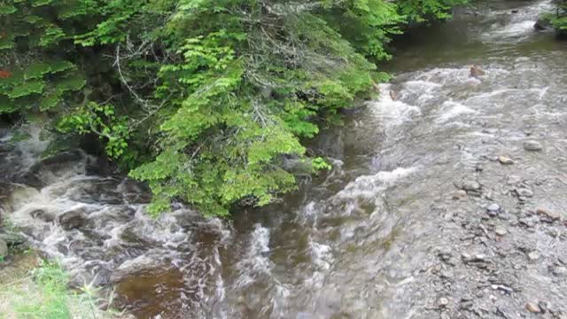 A little Vermont brook coolness for these hot days!