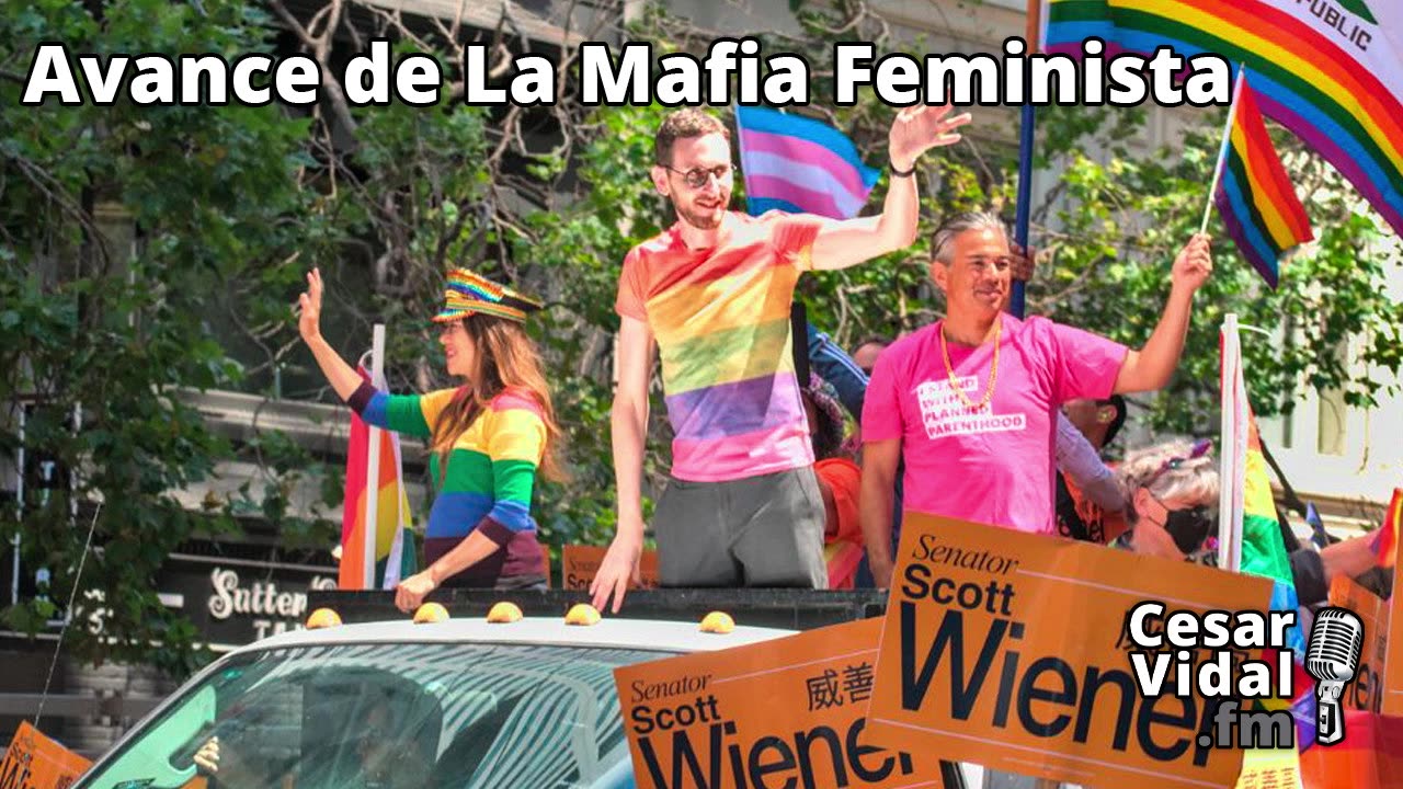 Avance de La Mafia Feminista - 21/06/24