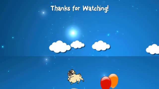 funny cats
