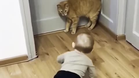 Babies are everything cats hate