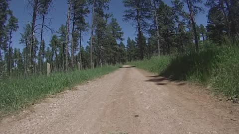 82" Trail Piedmont Trailhead Black Hills National Forest South Dakota