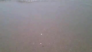 Filming the beach up close, the sea and waves were agitated [Nature & Animals]