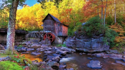 Study and relax to the sound of nature