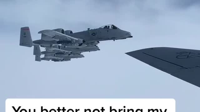 When Pilots Bickering