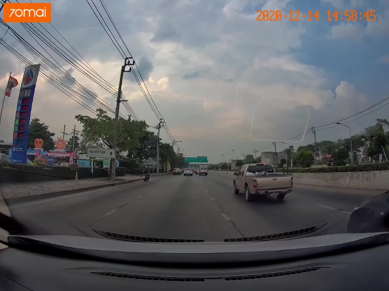 Good Samaritans Help Stray Cat on Busy Road