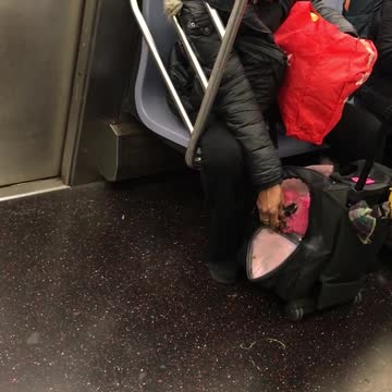 Woman feeding pink bird in cage bag subway