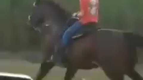 🐎🐎🐎🐎🐎🐎🐎🐎🐴🐴🐴🐴🐴