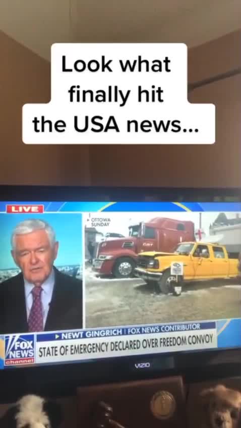 the fake news are finally beginning to tell the truth ??