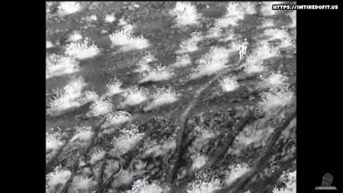 Smuggler drops young girls from border fence, flees