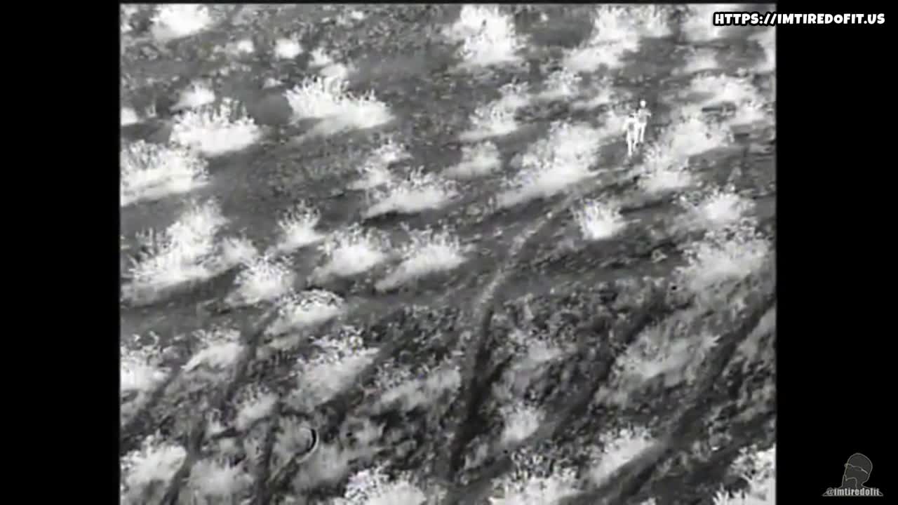 Smuggler drops young girls from border fence, flees