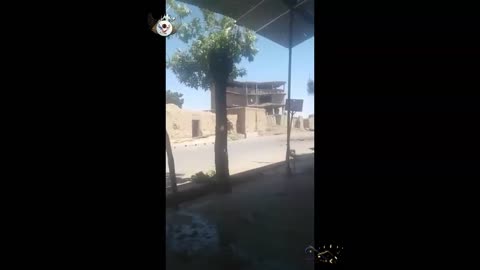 Taliban militants publish footage of the destruction of a post of the National Army in Shindand