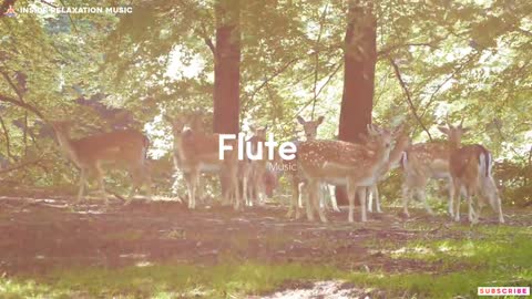 Relaxing flute music