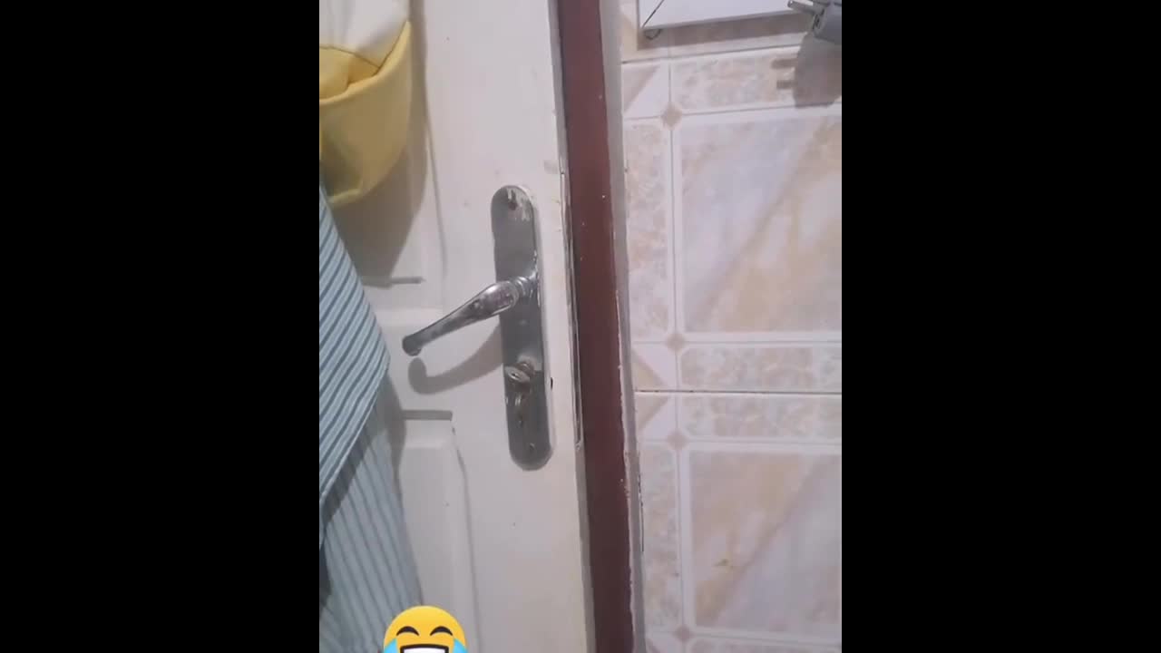 007 Cat