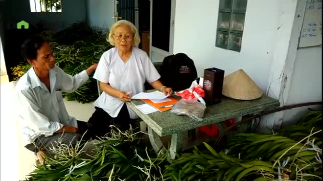 trồng lan
