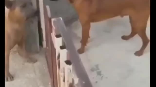 WAIT FOR THE END