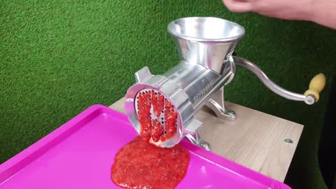 EXPERIMENT STRAWBERRY VS MEAT GRINDER